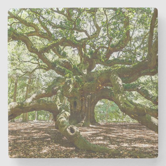 Sterk en vet stenen onderzetter (Voorkant)