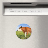 Sterke Friesian koe Magneet (Insitu (Vaatwasser))