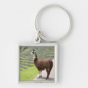 sterke lama peru sleutelhanger
