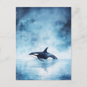Sterke Orka Walvis Middernacht Oceaan Briefkaart