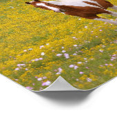 Sterke Sweet Horse and Scripting 2 Timothy 1:7 Poster (Hoek)