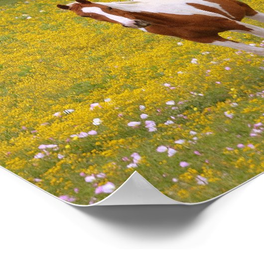 Sterke Sweet Horse and Scripting 2 Timothy 1:7 Poster (Hoek)