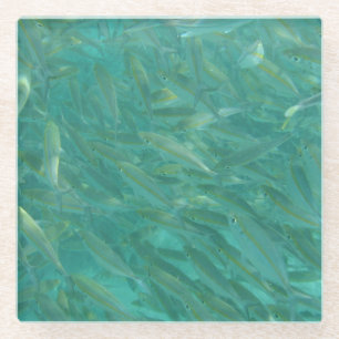 Sterke visschok glazen onderzetter