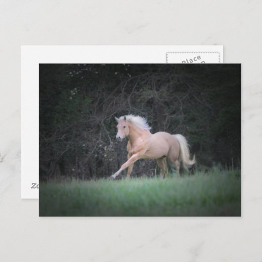 sterke wens briefkaart (Voorkant / Achterkant)