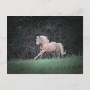 sterke wens briefkaart