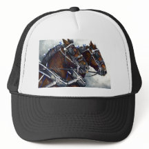 Sterkte en glorie - Percheron Horses