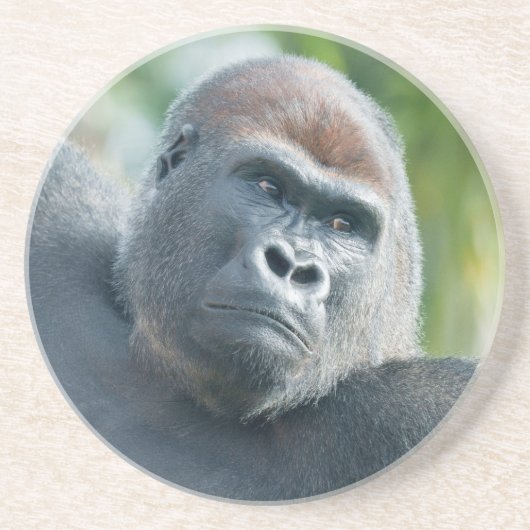 Sterkte - Gorilla zijdelingse blik Zandsteen Onderzetter (Voorkant)