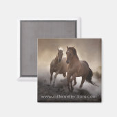 Sterkte magneet (Voorkant / Achterkant)