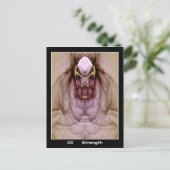 Sterkte Tarot-kaart Briefkaart (Staand voorkant)