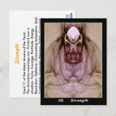 Sterkte Tarot-kaart Briefkaart (Voorkant / Achterkant)