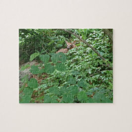 STERKTE VAN HET Hart! — — Legpuzzel