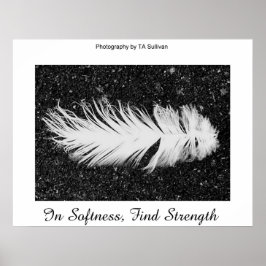 Sterkte van TDGallery Poster