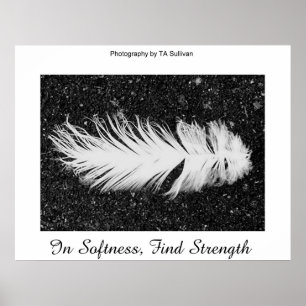 Sterkte van TDGallery Poster