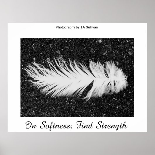 Sterkte van TDGallery Poster (Voorkant)