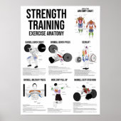 Sterktetraining - Anatomiegrafiek spieren Poster (Voorkant)