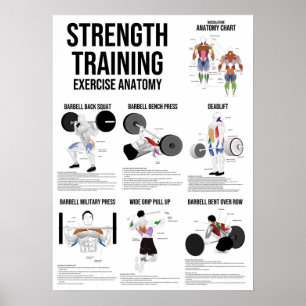 Sterktetraining - Anatomiegrafiek spieren Poster