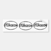 Sterlet Sturgeon Euro Stickers (Voorkant)