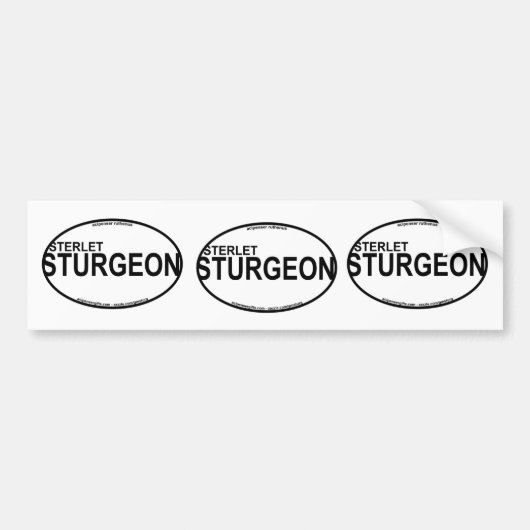 Sterlet Sturgeon Euro Stickers (Voorkant)