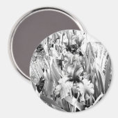 Sterling Irises.... Magneet (Voorkant / Achterkant)