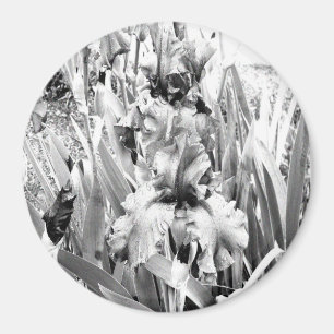 Sterling Irises.... Magneet