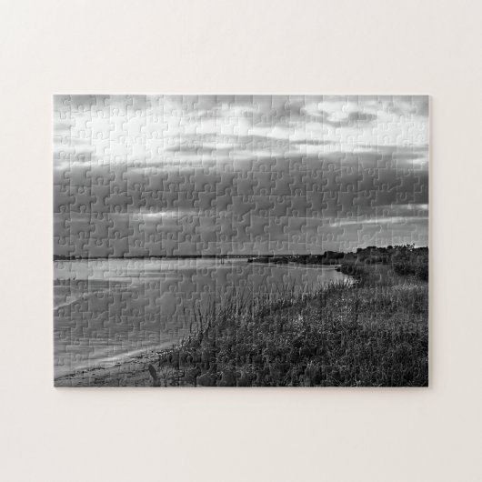 Sterling Silver Landscape, Florida Legpuzzel (Horizontaal)