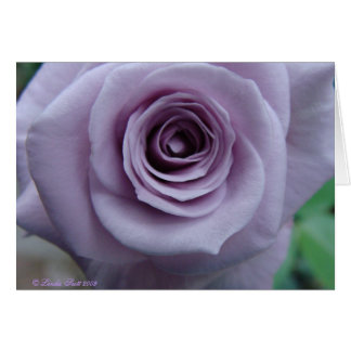 Sterling Silver Roos Card-ontwerp