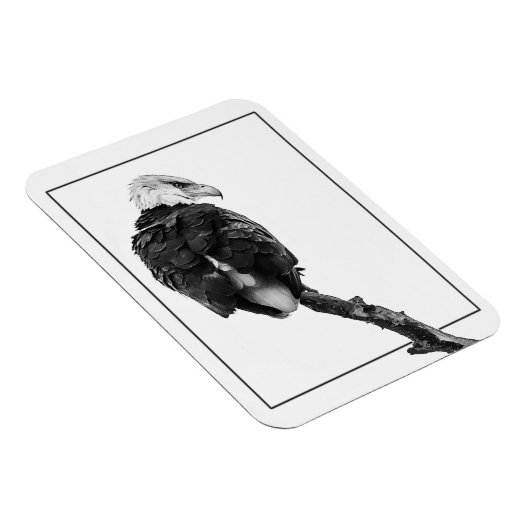 Stern Bald Eagle Magneet (Rechterzijde)