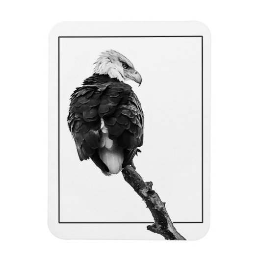 Stern Bald Eagle Magneet (Verticaal)