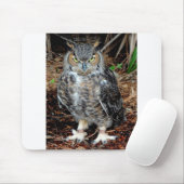 Stern Owl Muismat (Met muis)