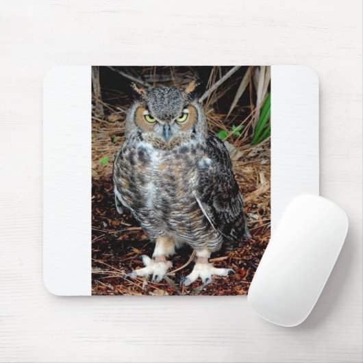 Stern Owl Muismat (Met muis)
