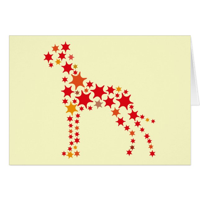 Sternchen Dogge (Voorkant Horizontaal)