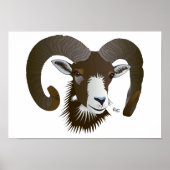 Sternzeichen - Poster Breedte (Voorkant)