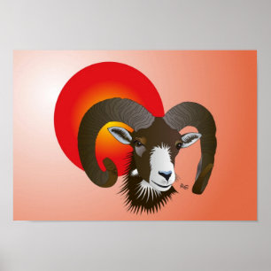 Sternzeichen - Poster Breedte