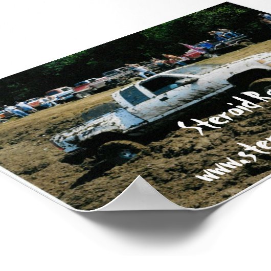 Steroid Racing Poster (Hoek)