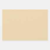  sterpatroon en bijpassende kleuren inpakpapier vel (Voorkant 2)