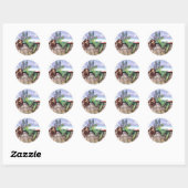 Sterre Kijker Fee Ronde Sticker (Vel)