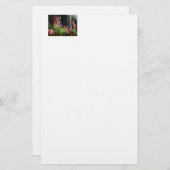 Sterren Briefpapier (Voorkant / Achterkant)