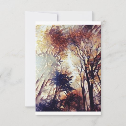 Sterren in het bos kaart (Voorkant)