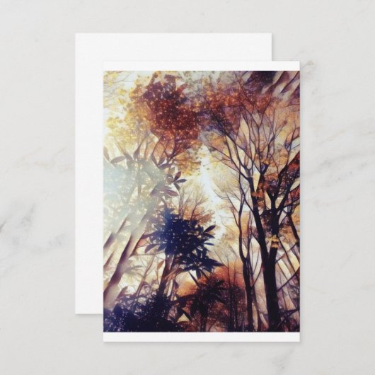 Sterren in het bos kaart (Voorkant / Achterkant)