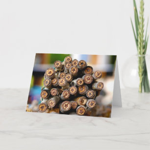 Sterren langs de Rio Grande Cotton Wood Trees Kaart