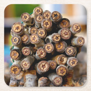 Sterren langs de Rio Grande Cotton Wood Trees Kartonnen Onderzetters