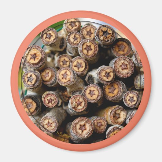 Sterren langs de Rio Grande Cotton Wood Trees Magneet (Voorkant)