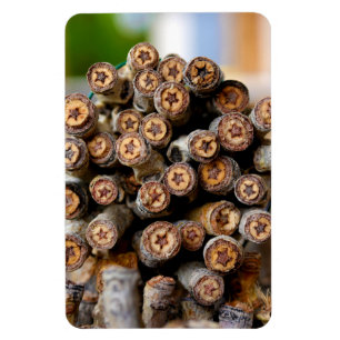 Sterren langs de Rio Grande Cotton Wood Trees Magneet