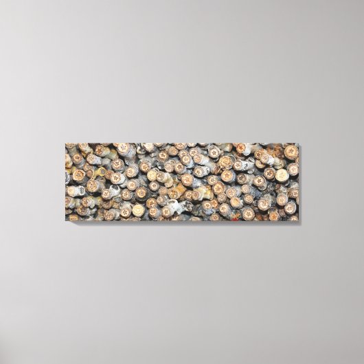 Sterren langs de Rio Grande Cotton Wood Trees Talk Canvas Afdruk (Voorkant)