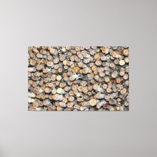 Sterren langs de Rio Grande Cotton Wood Trees Talk Canvas Afdruk (Voorkant)