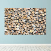 Sterren langs de Rio Grande Cotton Wood Trees Talk Canvas Afdruk (Insitu (Houten vloer))