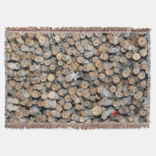 Sterren langs de Rio Grande Cotton Wood Trees Talk Deken (Voorkant)