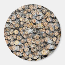 Sterren langs de Rio Grande Cotton Wood Trees Talk Magneet