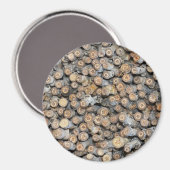 Sterren langs de Rio Grande Cotton Wood Trees Talk Magneet (Voorkant / Achterkant)