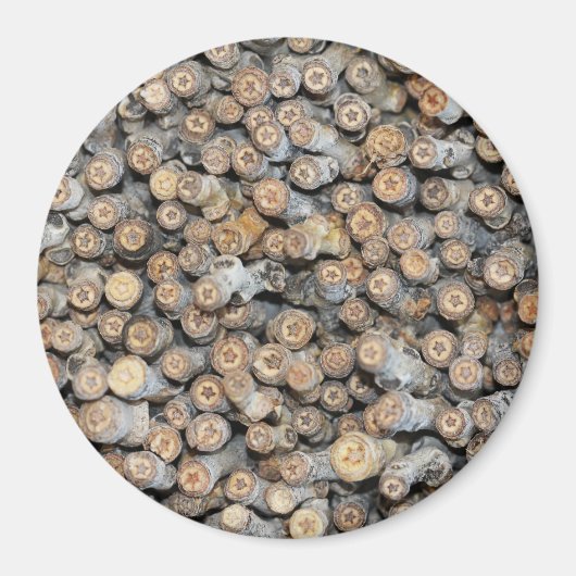 Sterren langs de Rio Grande Cotton Wood Trees Talk Magneet (Voorkant)